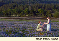 Couple in flower fields by Moon Valley Studio