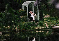 Wedding couple and pond