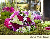 One Fine Day Events